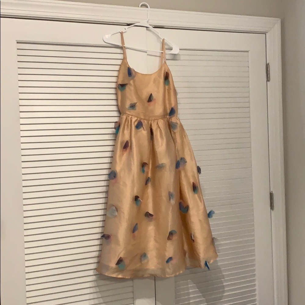Rachel Antonoff from Anthropologie dress